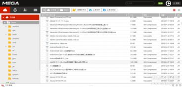 精選精品計算機軟件概覽 提升開發與辦公效率的暗色設計工具集